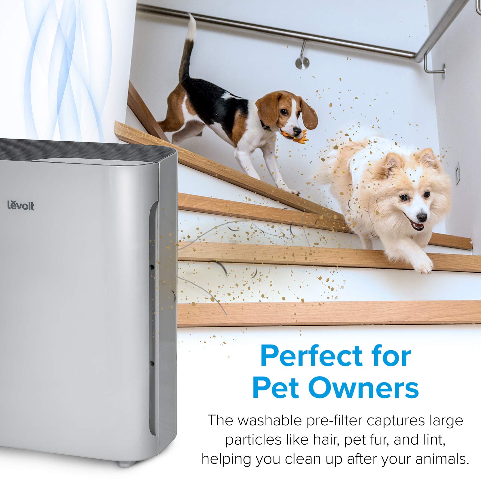 Levoit Air Purifiers for Bedroom Home Pets Dorm Room, Small Air Purifiers