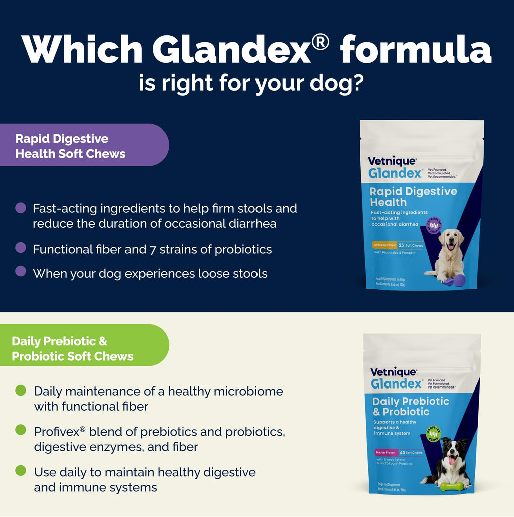 Vetnique Glandex Probiotics for Dogs Chews 30ct, Prebiotics & Enzymes