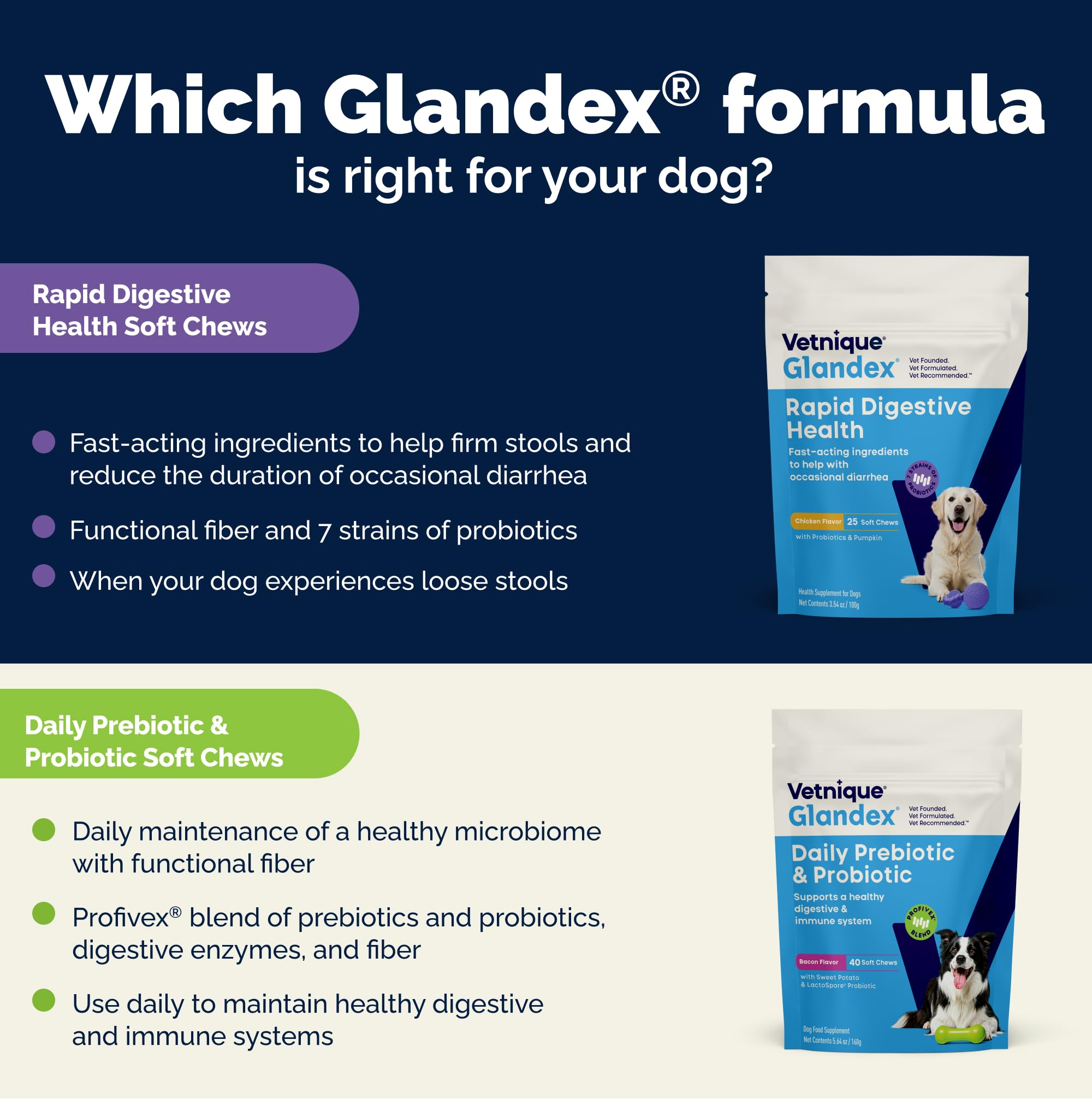 Vetnique Glandex Probiotics for Dogs Chews 30ct, Prebiotics & Enzymes