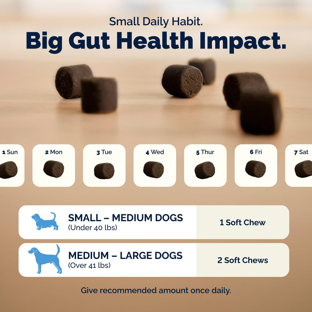 Vetnique Glandex Probiotics for Dogs Chews 30ct, Prebiotics & Enzymes