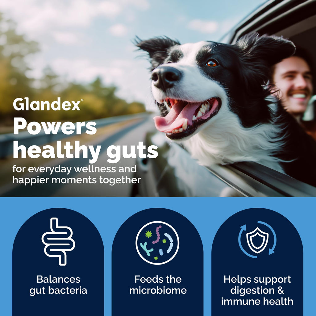 Vetnique Glandex Probiotics for Dogs Chews 30ct, Prebiotics & Enzymes