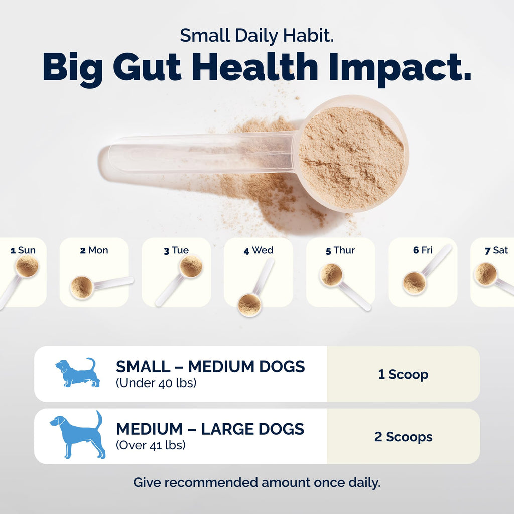 Vetnique Glandex Probiotics for Dogs Chews 30ct, Prebiotics & Enzymes