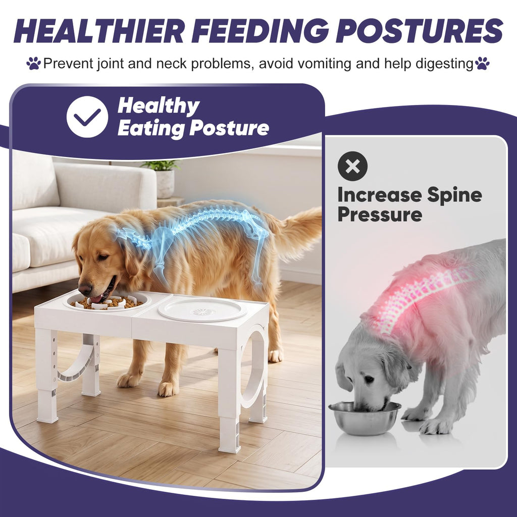 XIAZ Elevated Dog Bowls Large Breed Raised Dogs Bowl Stand Large/Medium Sized Dog Stainless Steel Food Water Bowl Stands 5 Heights Adjustable 9/11/12/14in Black Pet Feeder Dish Station