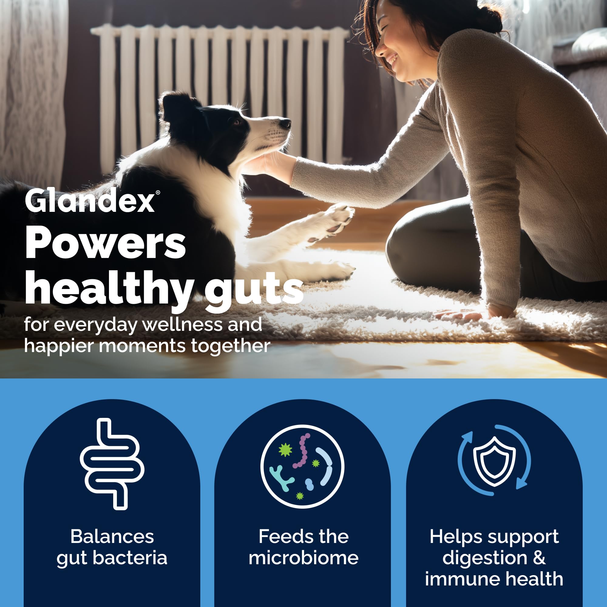 Vetnique Glandex Probiotics for Dogs Chews 30ct, Prebiotics & Enzymes
