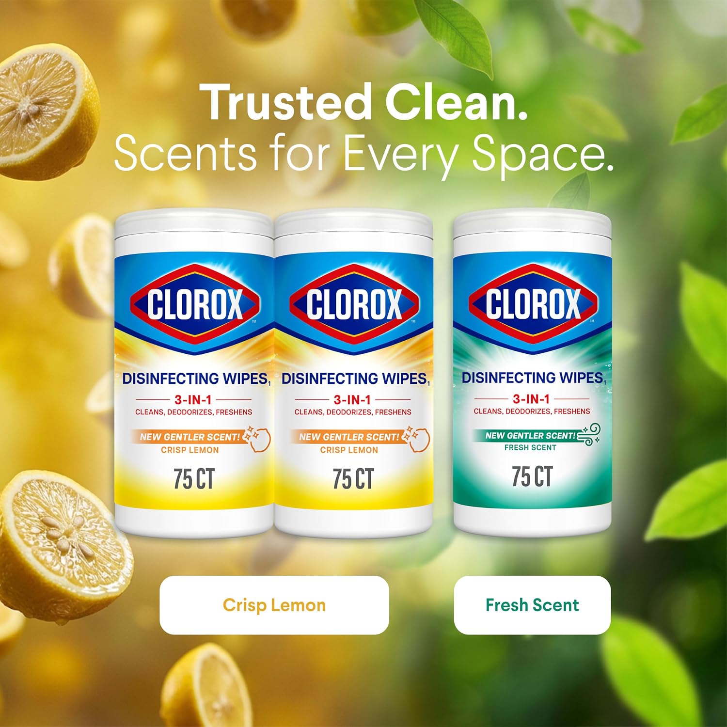 Clorox Disinfecting Wipes Back to School Variety Pack, 75 Count Each, Pack of 3 (Package May Vary)