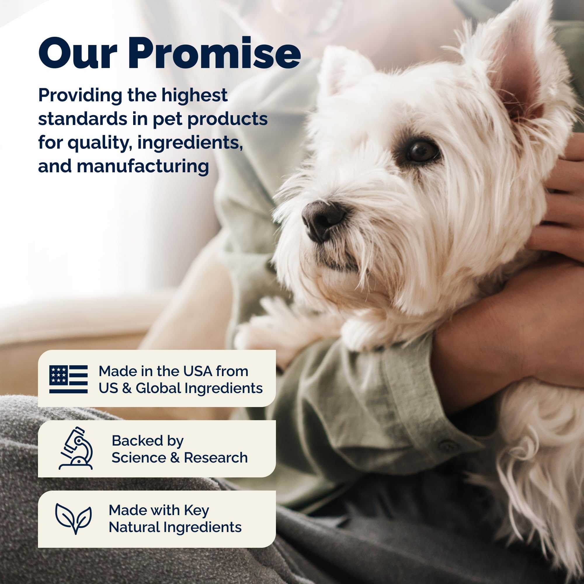 Vetnique Glandex Probiotics for Dogs Chews 30ct, Prebiotics & Enzymes