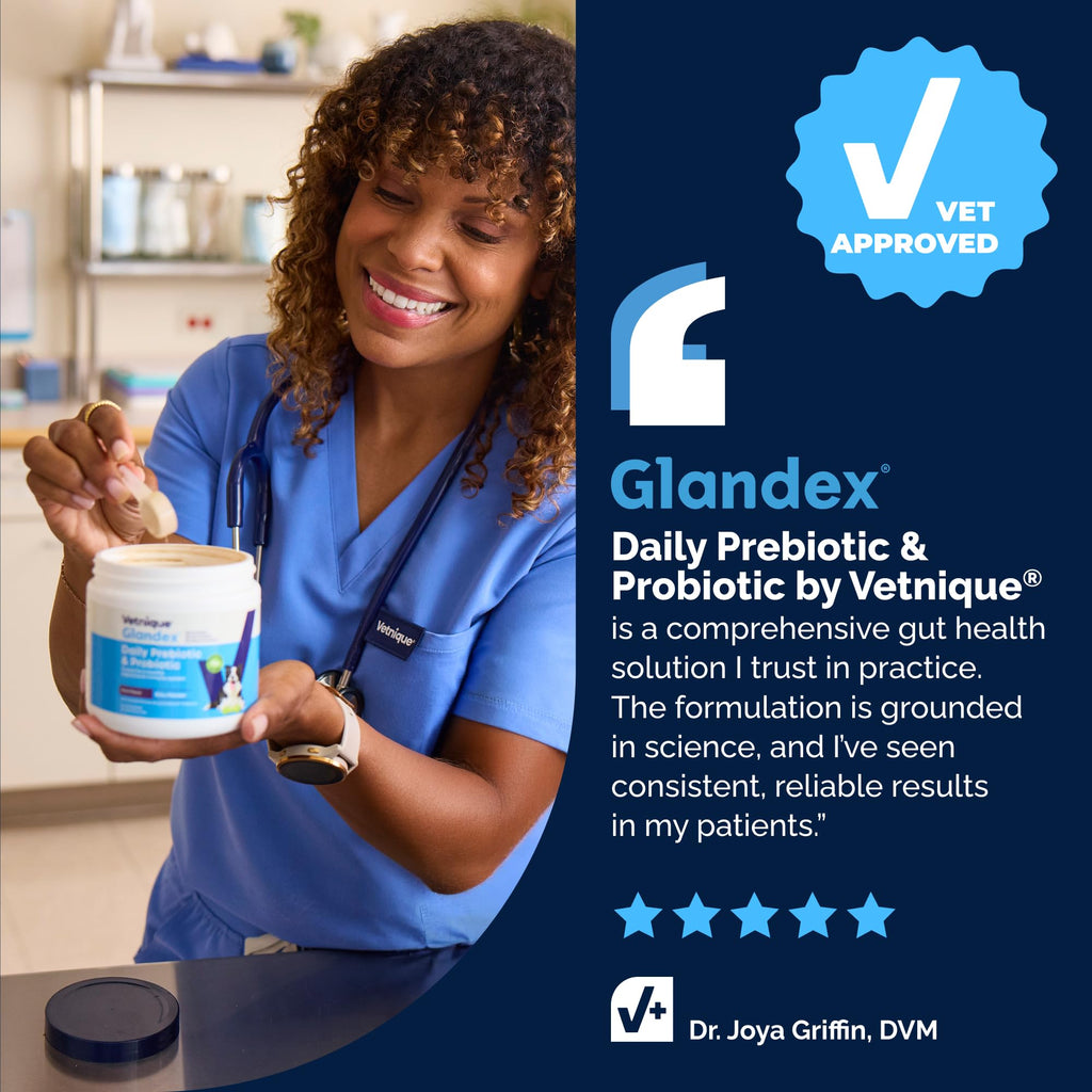 Vetnique Glandex Probiotics for Dogs Chews 30ct, Prebiotics & Enzymes