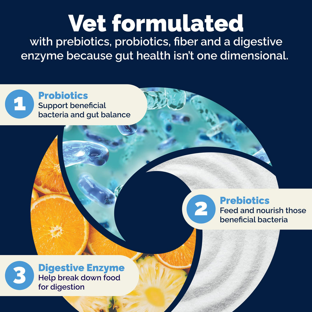 Vetnique Glandex Probiotics for Dogs Chews 30ct, Prebiotics & Enzymes