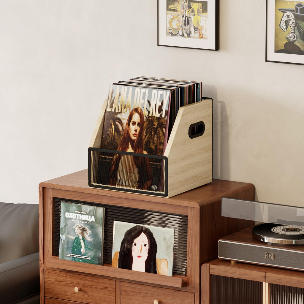 Homeiju Vinyl Record Storage, Record Box Case Crate, Vinyl Record Album Holder, Metal & Wooden LP Record Crate, Holds up to 60 Records