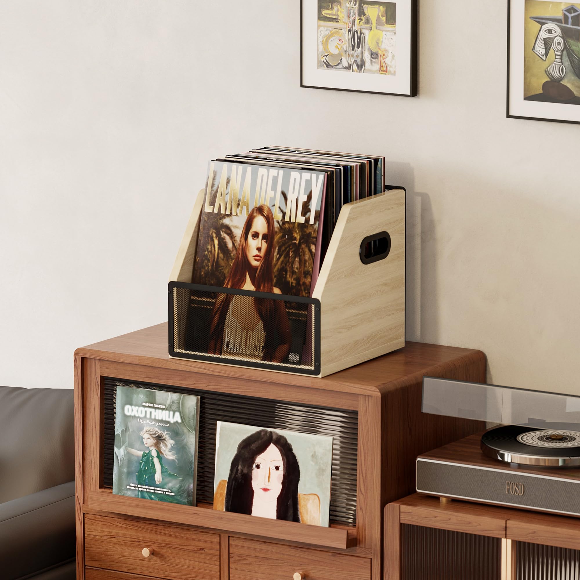 Homeiju Vinyl Record Storage, Record Box Case Crate, Vinyl Record Album Holder, Metal & Wooden LP Record Crate, Holds up to 60 Records