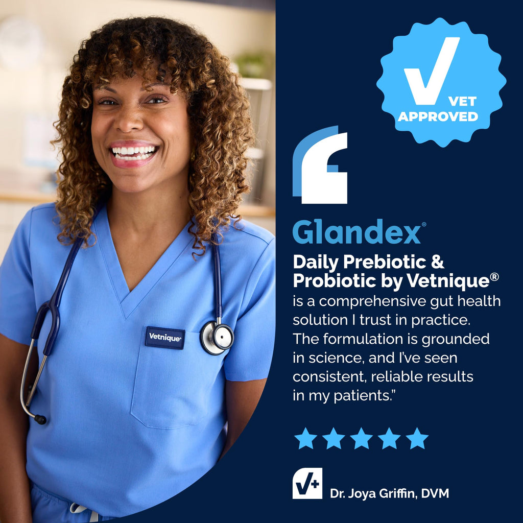 Vetnique Glandex Probiotics for Dogs Chews 30ct, Prebiotics & Enzymes