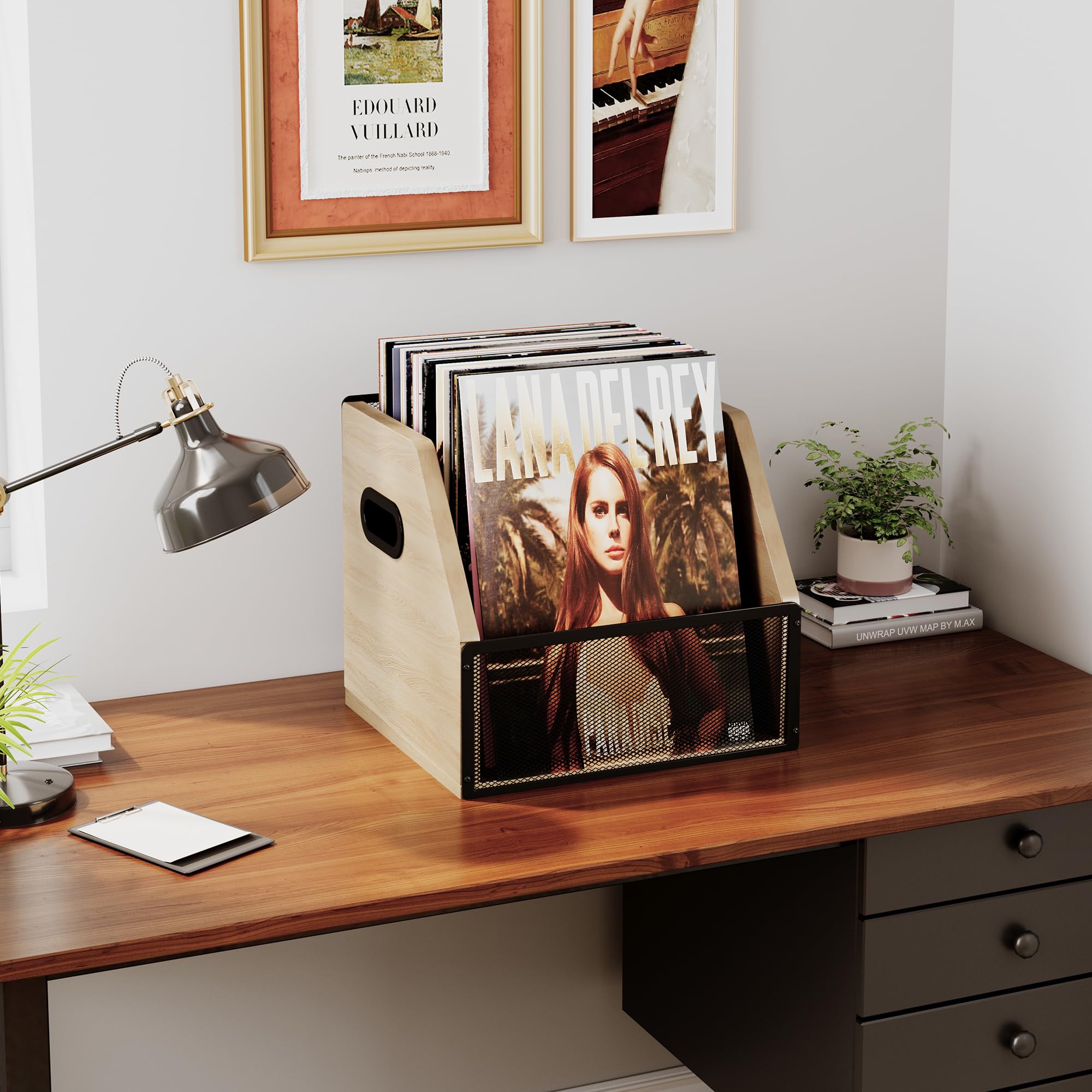 Homeiju Vinyl Record Storage, Record Box Case Crate, Vinyl Record Album Holder, Metal & Wooden LP Record Crate, Holds up to 60 Records