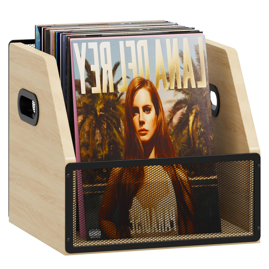 Homeiju Vinyl Record Storage, Record Box Case Crate, Vinyl Record Album Holder, Metal & Wooden LP Record Crate, Holds up to 60 Records