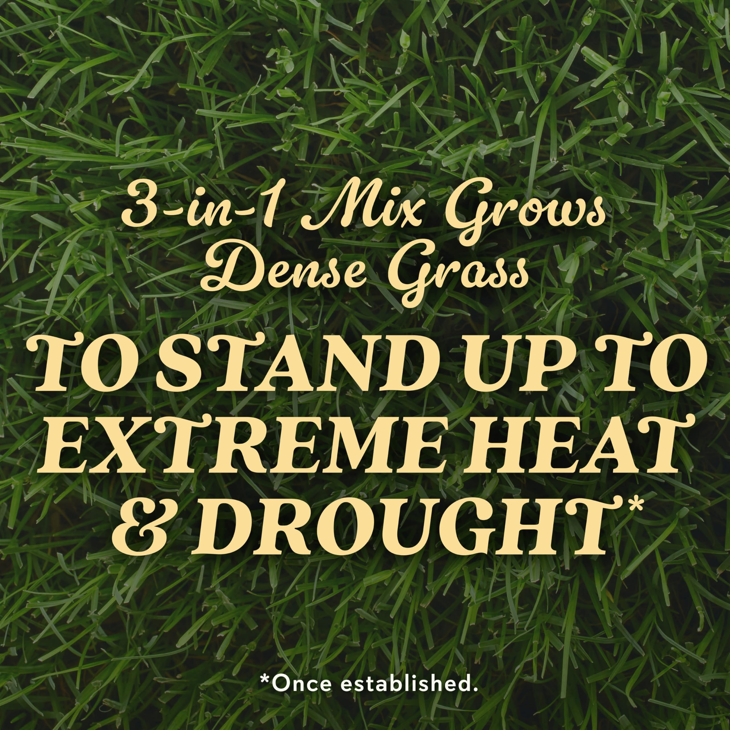 O.M. Scott & Sons Natural Grass Food, 12.72 lbs. (2-Pack)