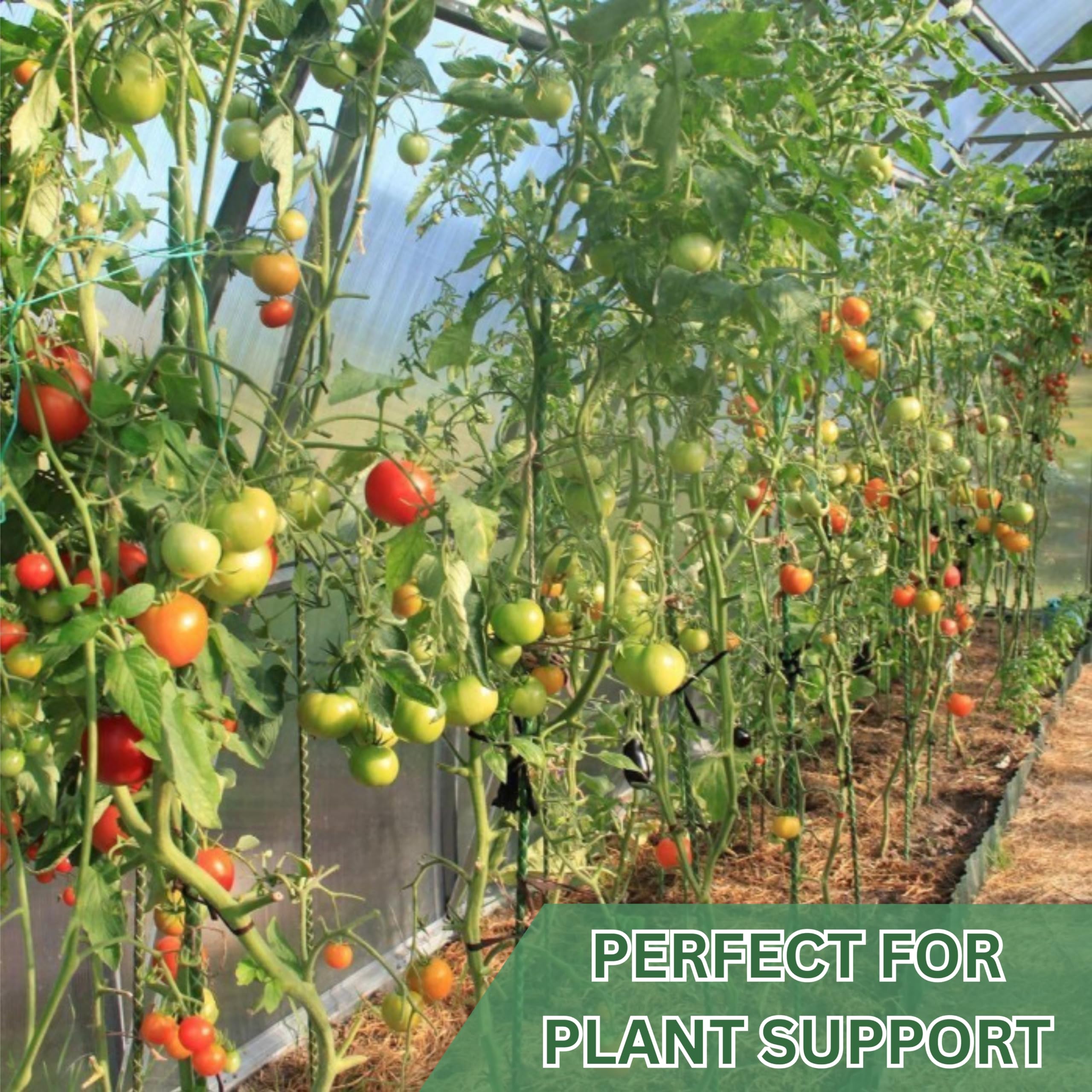 5 Ft Fiberglass Eco Friendly Garden Stakes 20 Pack (Height/Quantity Options) – Durable, Lightweight, Tomato, Tree, Strawberry, Plant, Support Fencing Stakes with Patterned Surface, Green (20, 5 Ft)