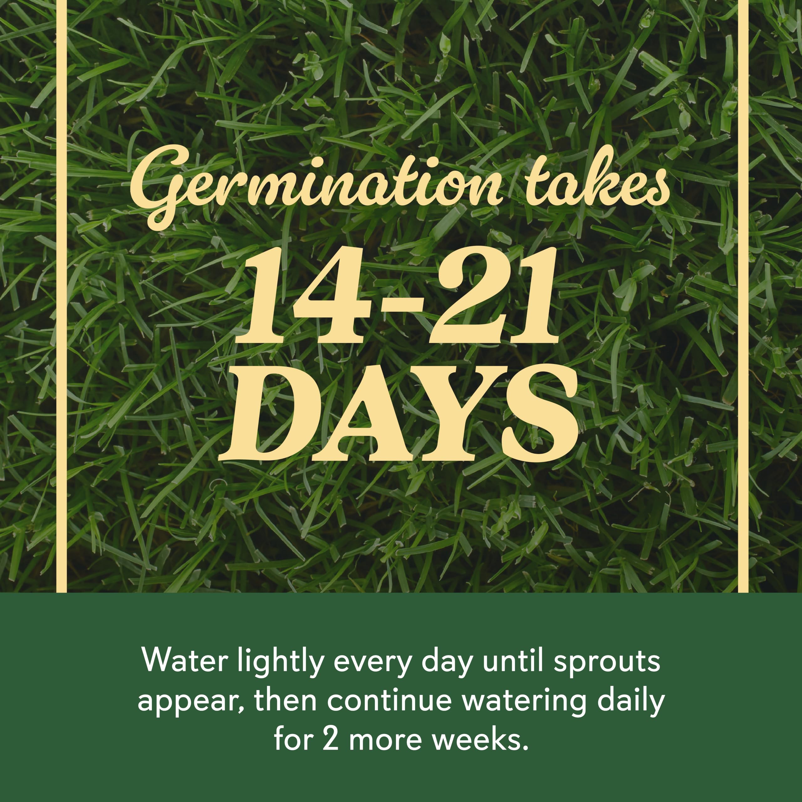 O.M. Scott & Sons Natural Grass Food, 12.72 lbs. (2-Pack)
