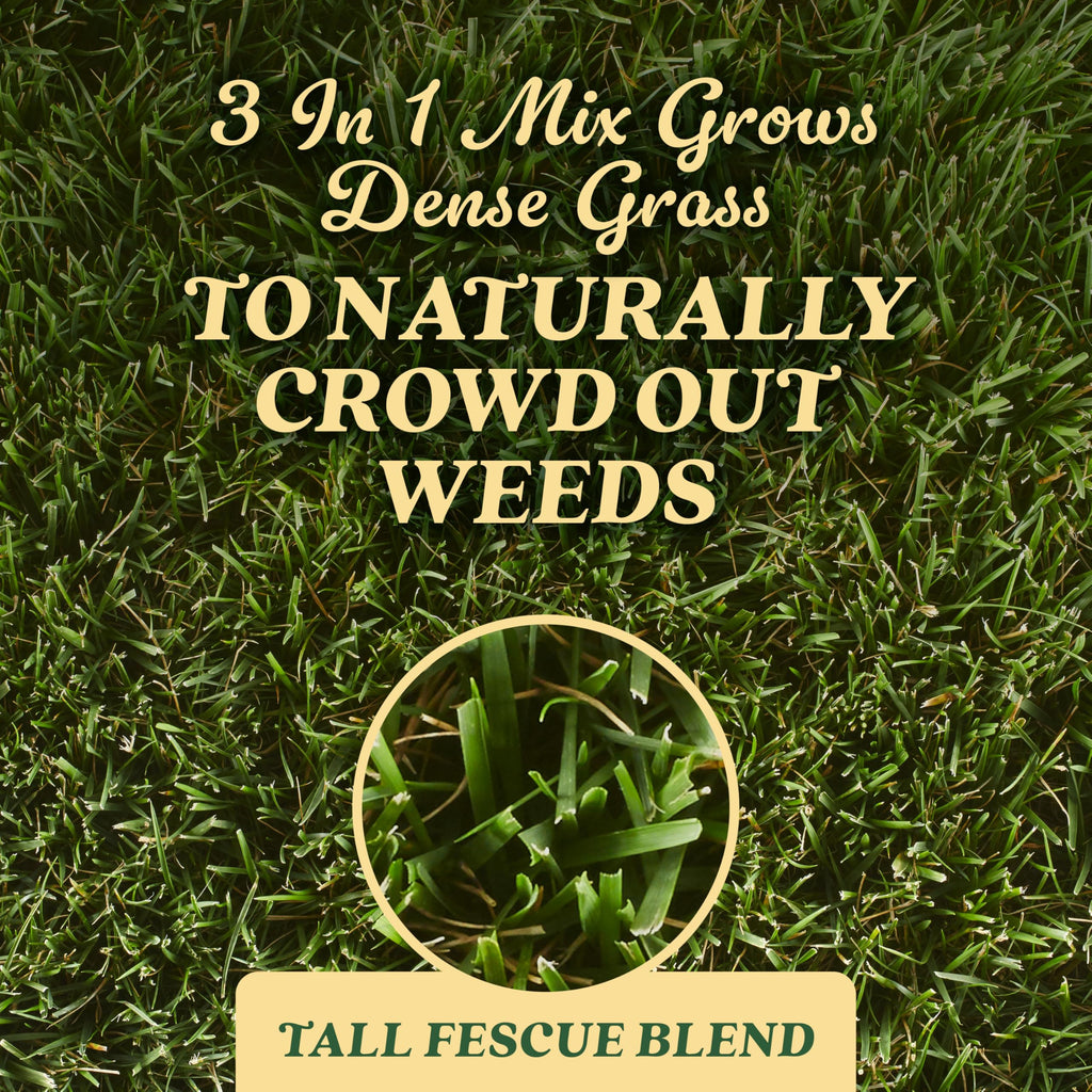 O.M. Scott & Sons Natural Grass Food, 12.72 lbs. (2-Pack)