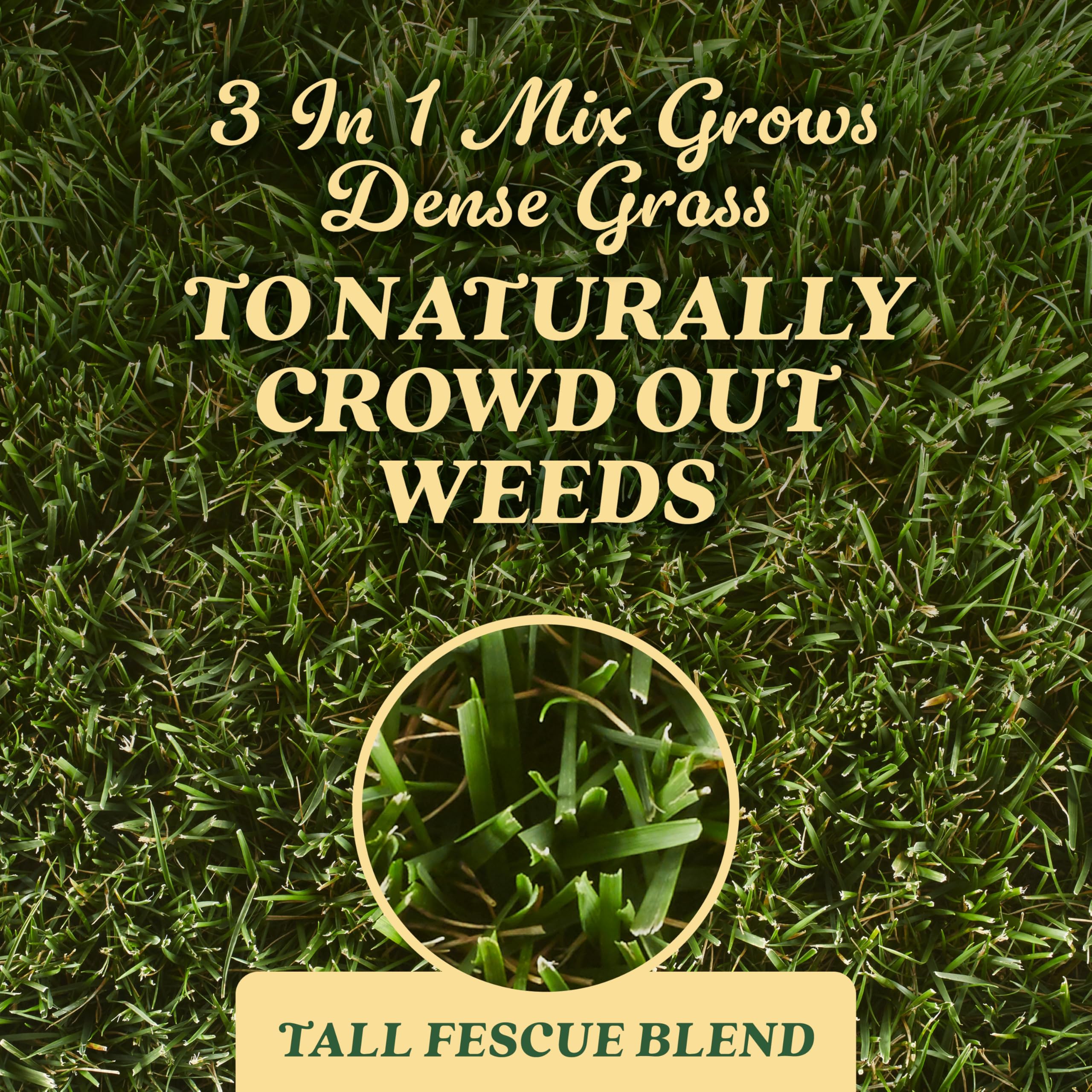 O.M. Scott & Sons Natural Grass Food, 12.72 lbs. (2-Pack)