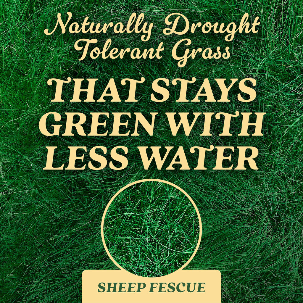 O.M. Scott & Sons Natural Grass Food, 12.72 lbs. (2-Pack)