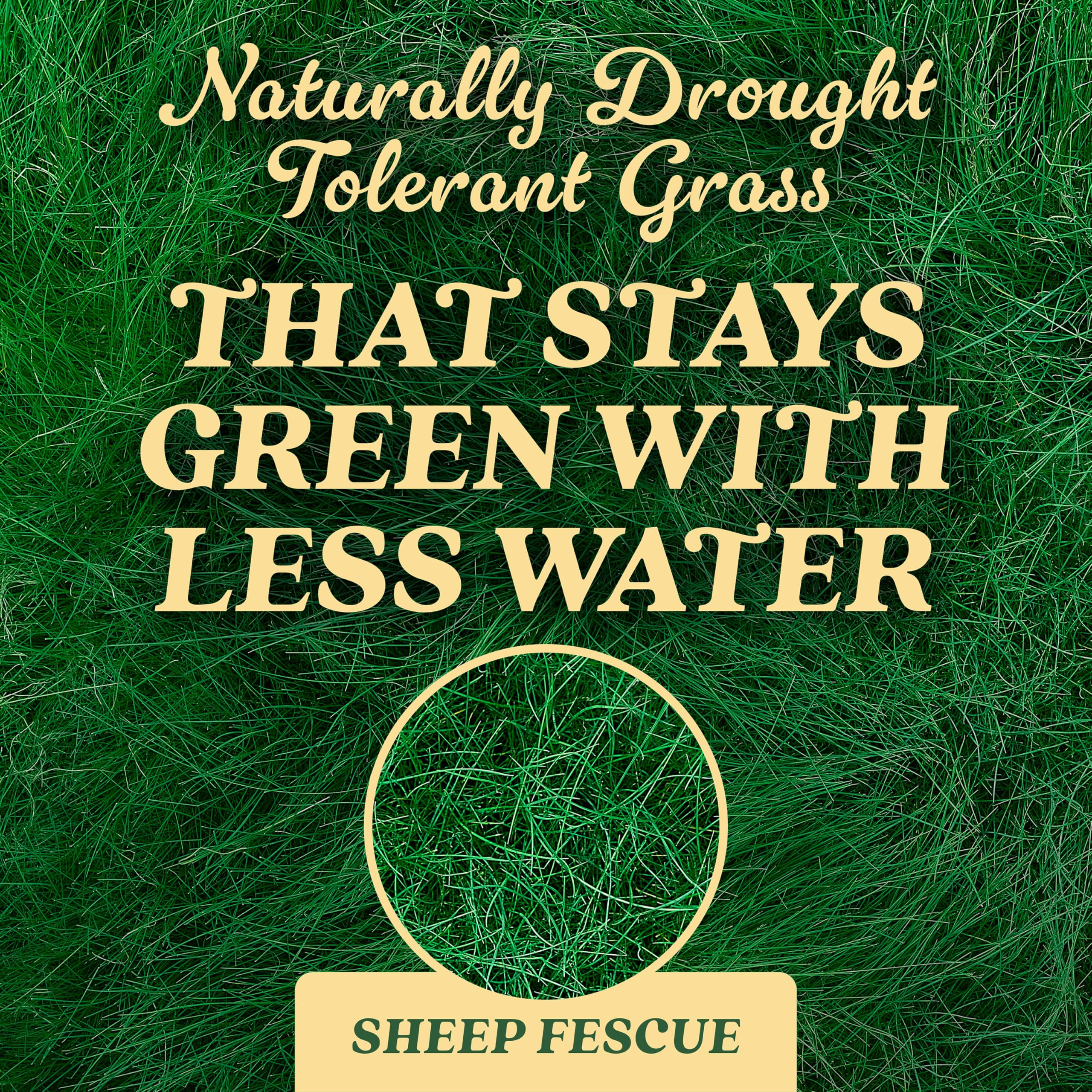 O.M. Scott & Sons Natural Grass Food, 12.72 lbs. (2-Pack)