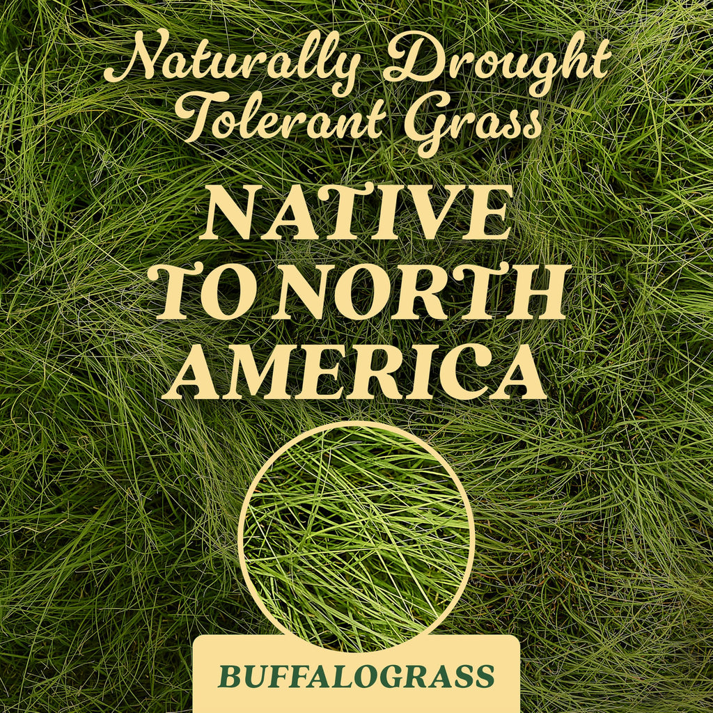 O.M. Scott & Sons Natural Grass Food, 12.72 lbs. (2-Pack)