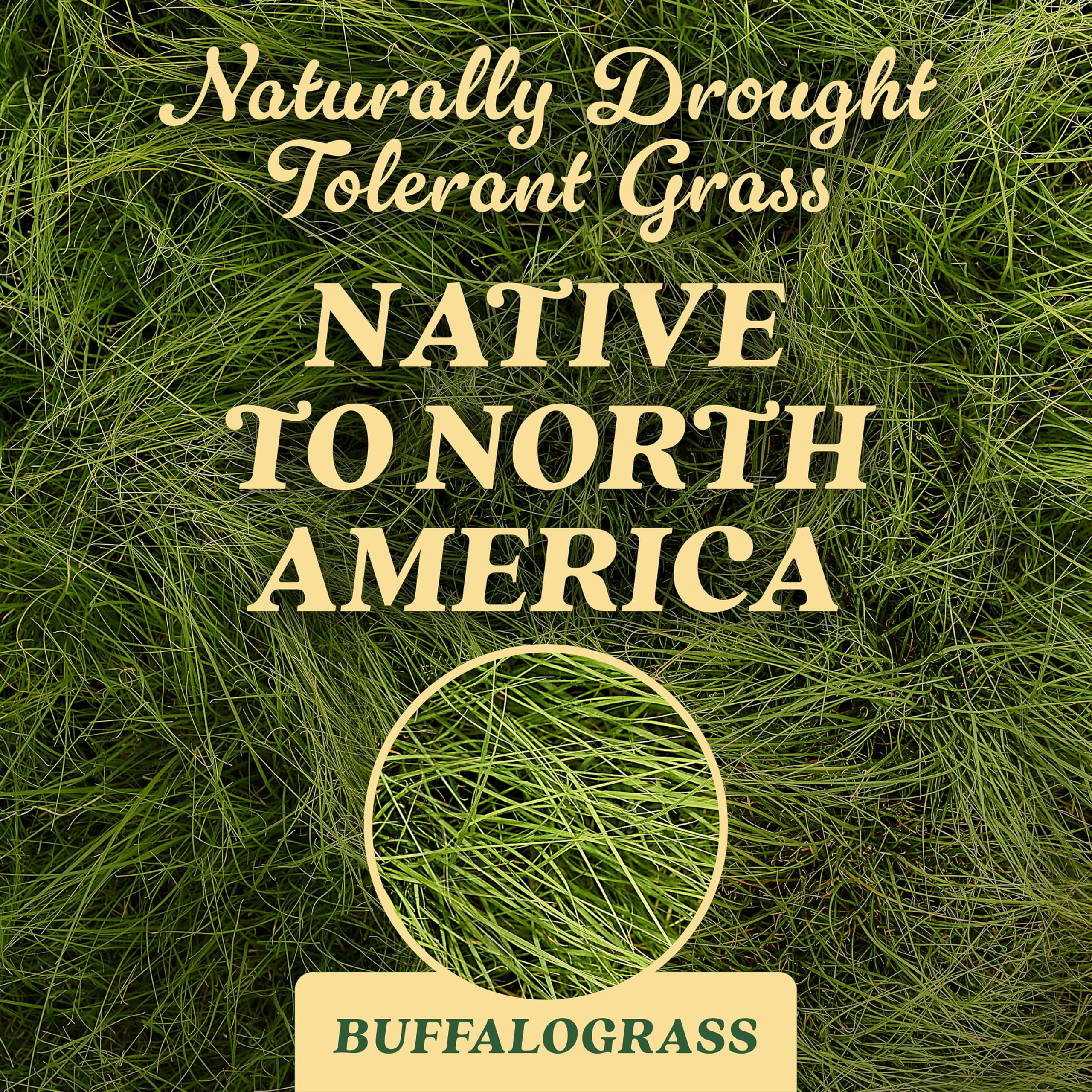 O.M. Scott & Sons Natural Grass Food, 12.72 lbs. (2-Pack)